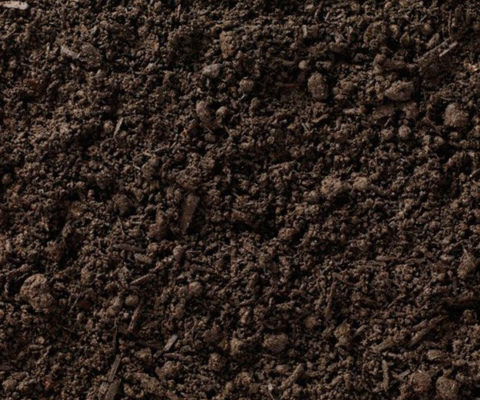 Topsoil